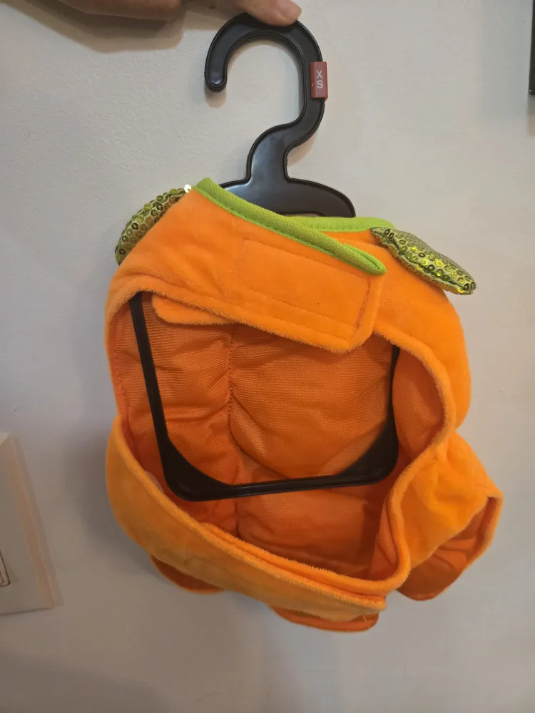 Bailey&Bella Bee and Pumpkin costumes for pets image indicator(4)