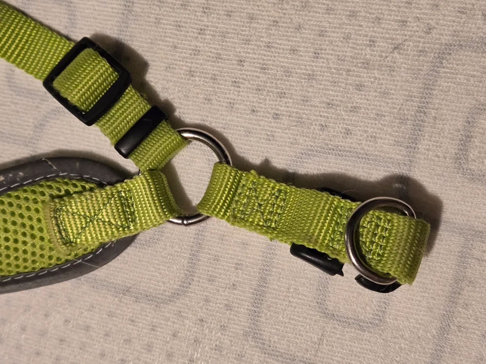 AVAILABLE: Large Size Dog Harness image indicator(5)