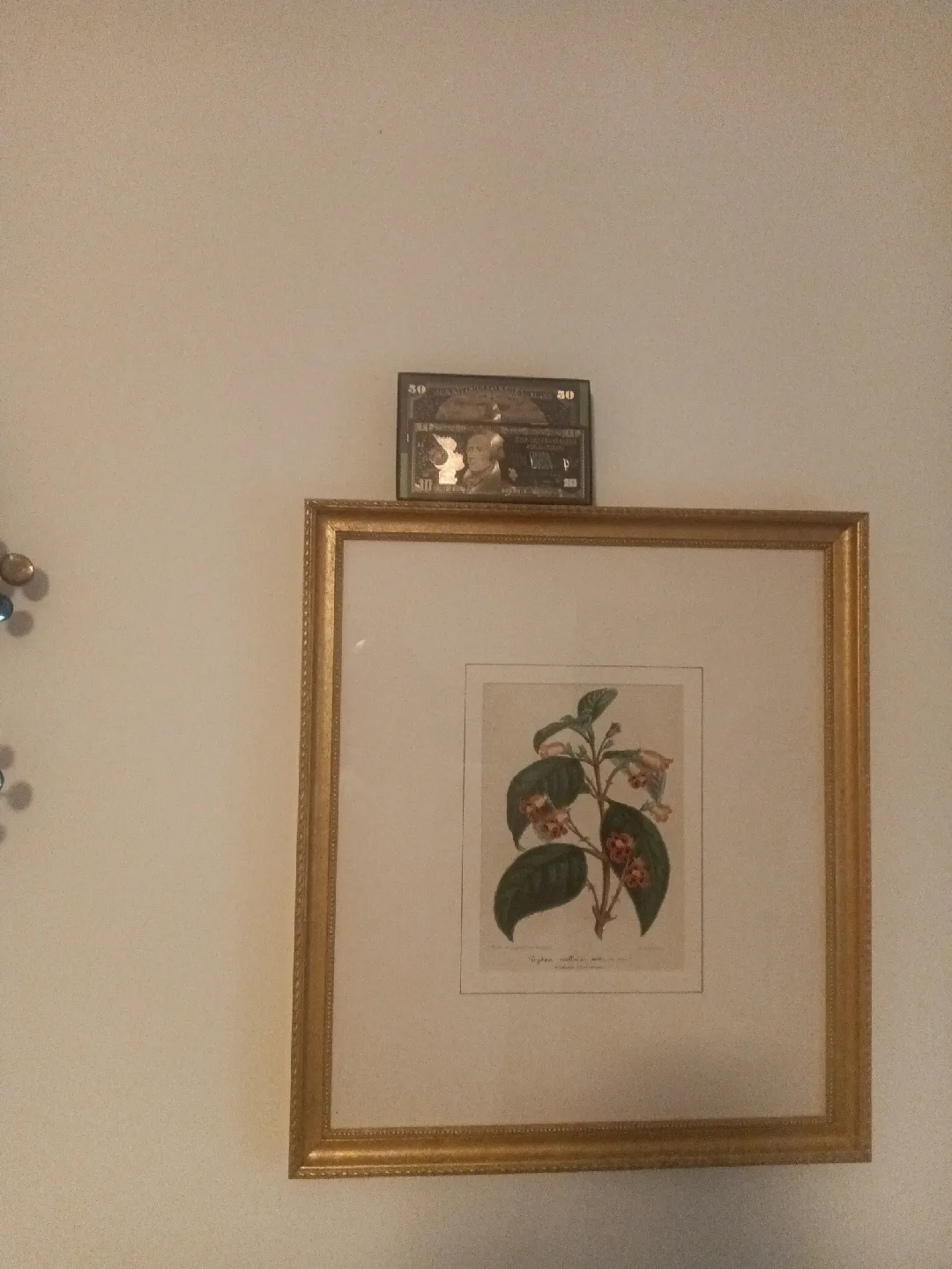 mini framed collection bills $50, $10 image indicator(4)