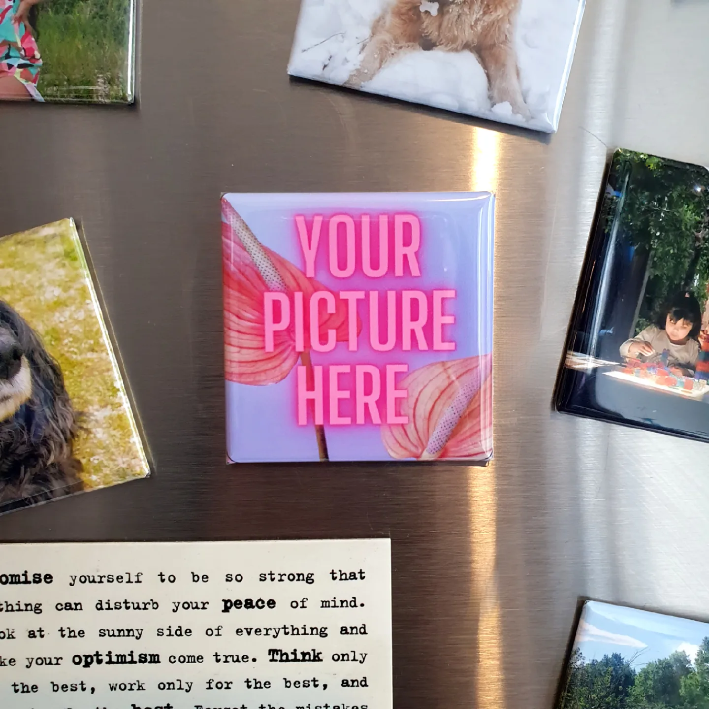 Petit Olivia Magnets 9 Units Photo Magnets image indicator(4)