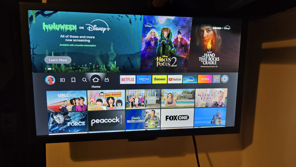 24 inch Insignia Fire TV - photo 5
