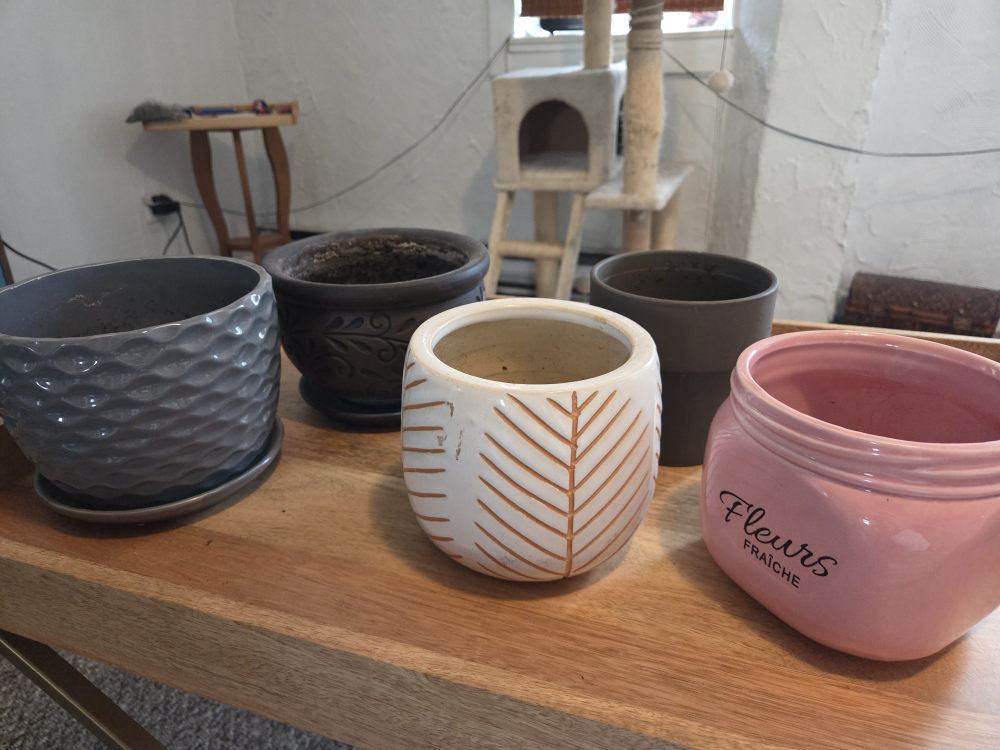Ceramic Plant Pots