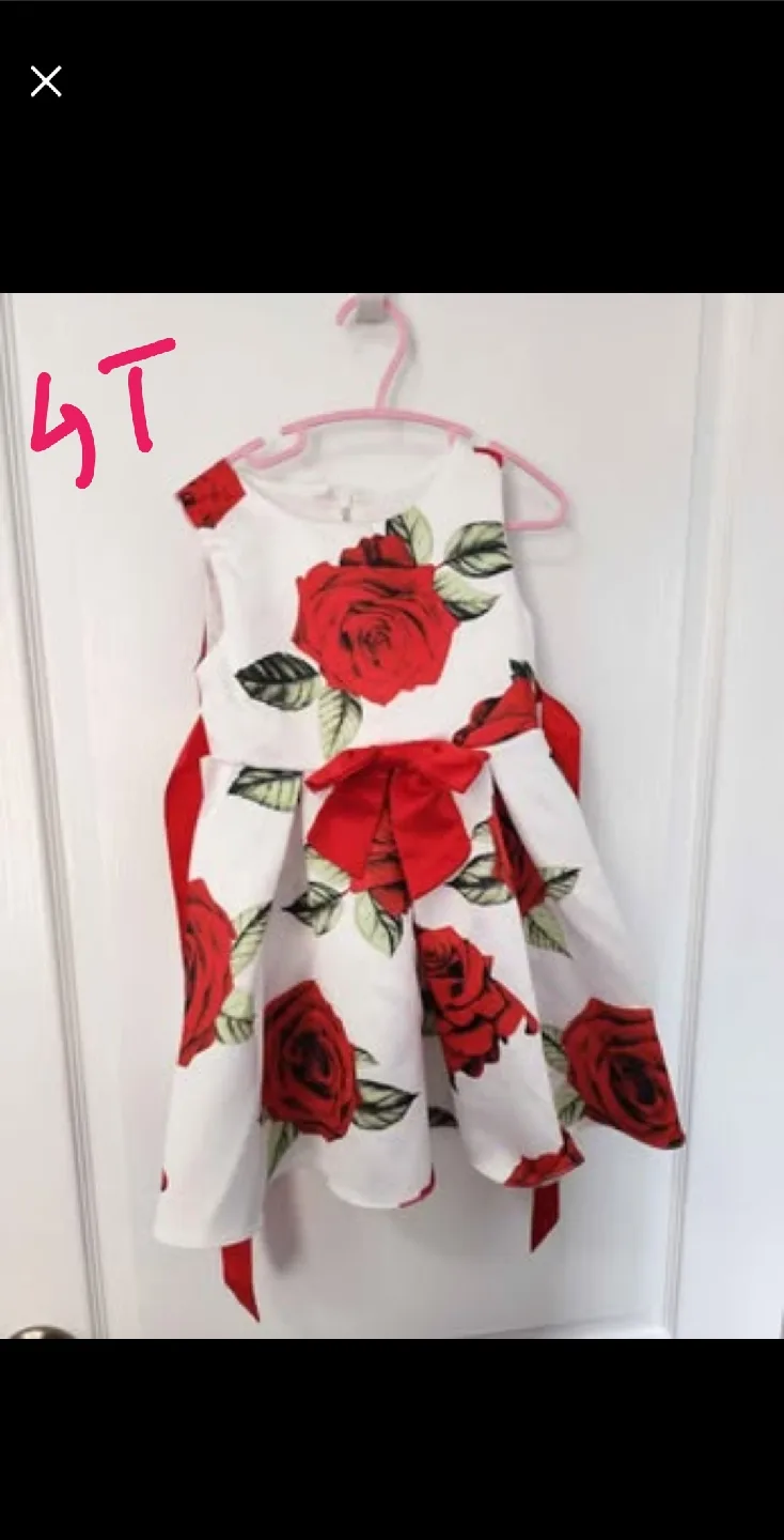 Girls Rose Dress - Size 4T thumbnail