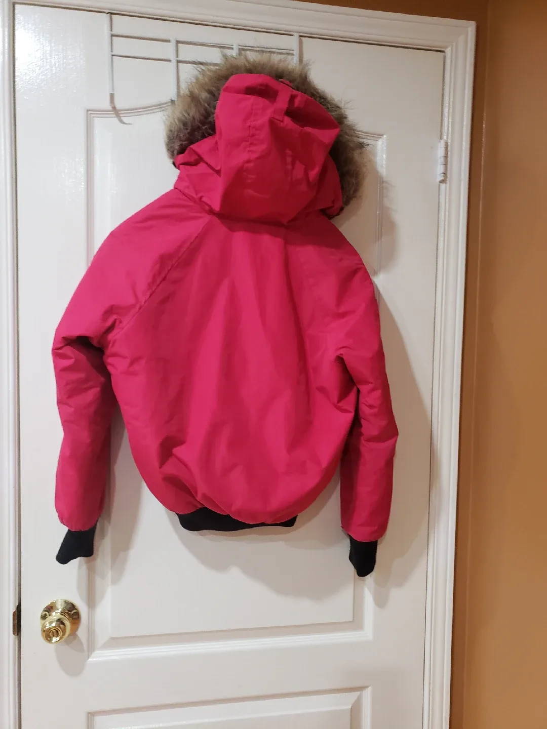 Moose Knuckles Bomber Jacket - Size M image indicator(4)