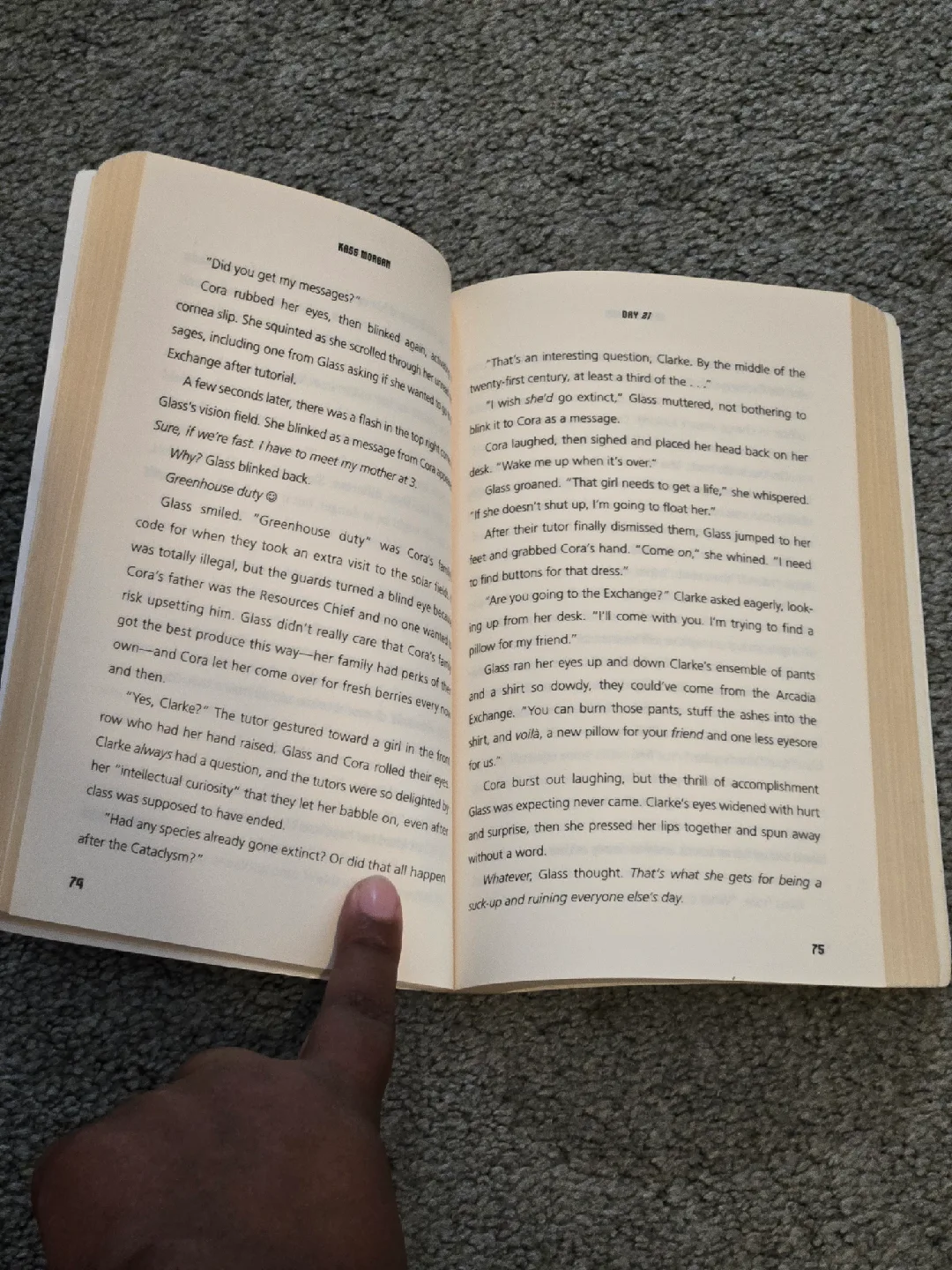 The 100 Day 21 by Kass Morgan image indicator(2)