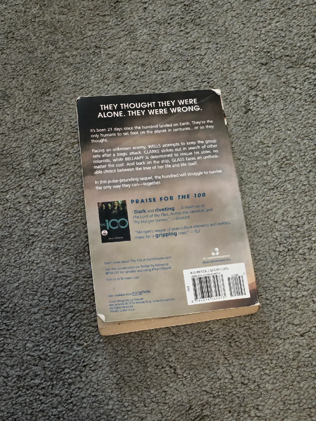 The 100 Day 21 by Kass Morgan image indicator(3)