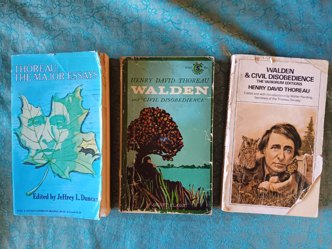 Thoreau: The Major Essays, Walden & Civil Disobedience thumbnail