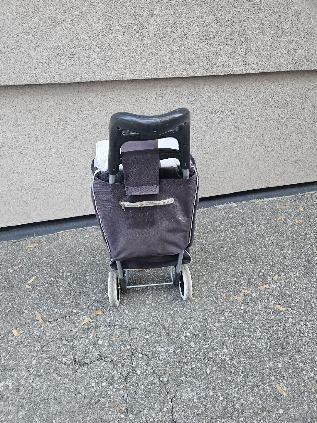 Shopping Cart Tote - photo 3