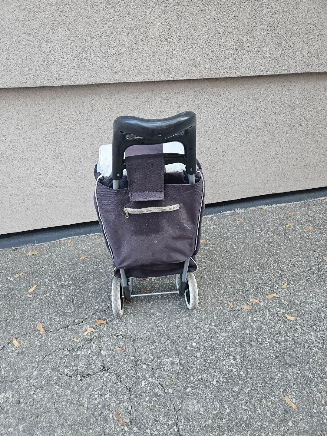 Shopping Cart Tote image indicator(3)