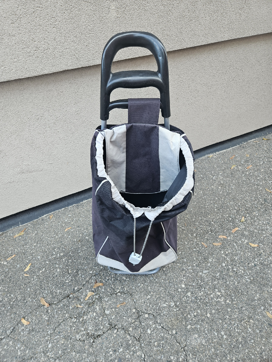 Shopping Cart Tote - photo 4