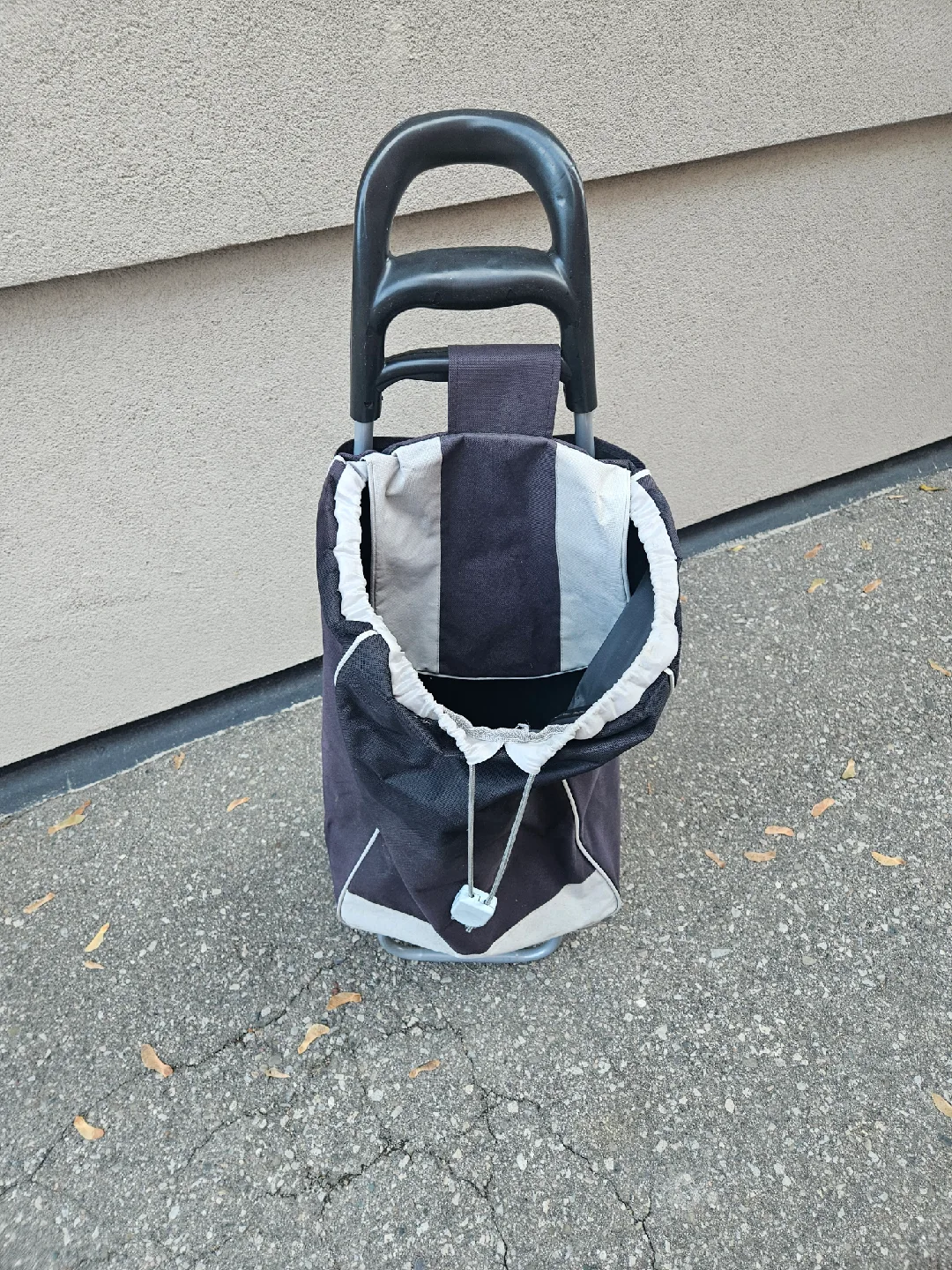 Shopping Cart Tote image indicator(4)