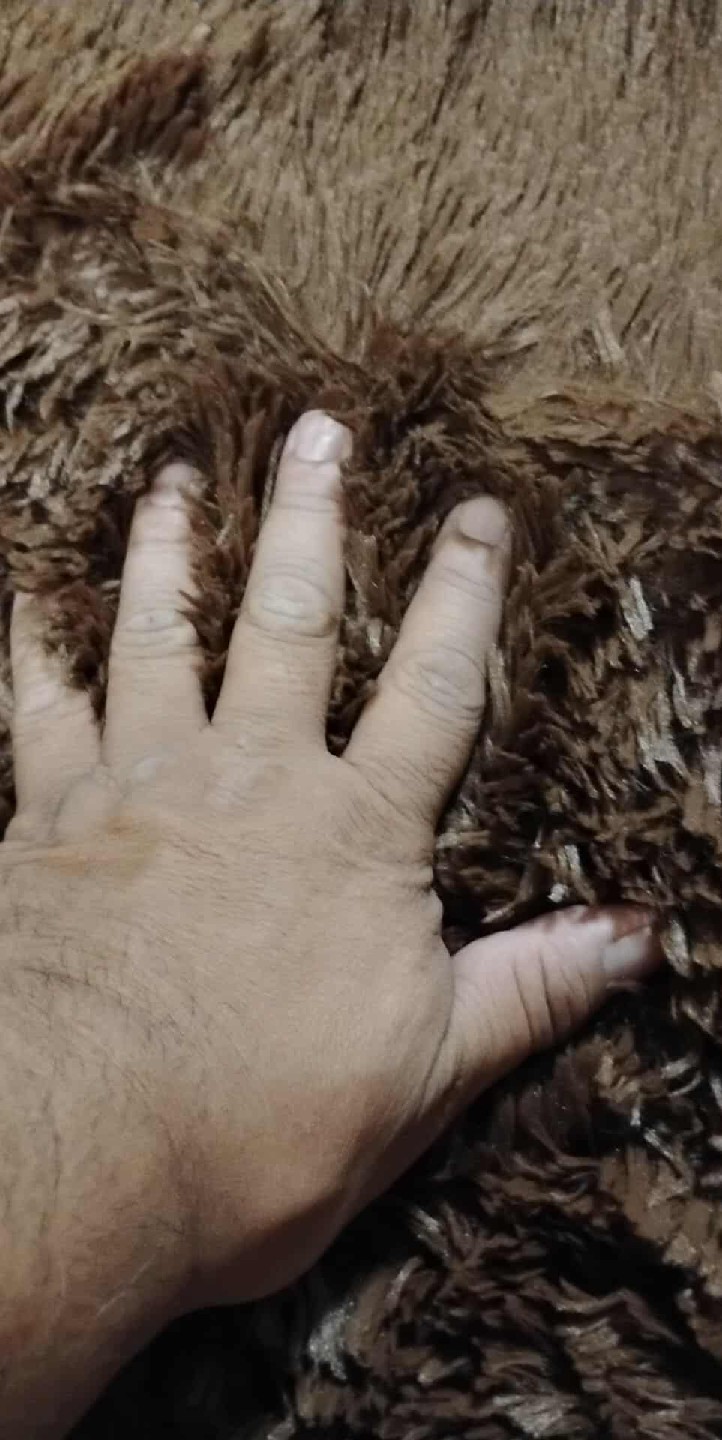 Brown Shag Rug - photo 4