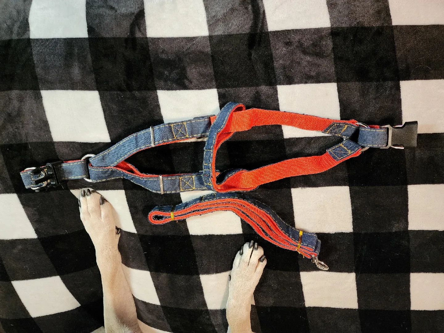 Step in Dog Harness and Leash Set 4' image indicator(2)