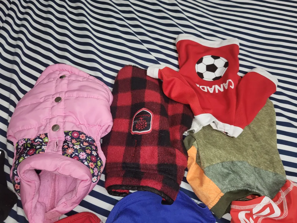 Small Dog Harnesses & Apparel (Clothings) image indicator(2)