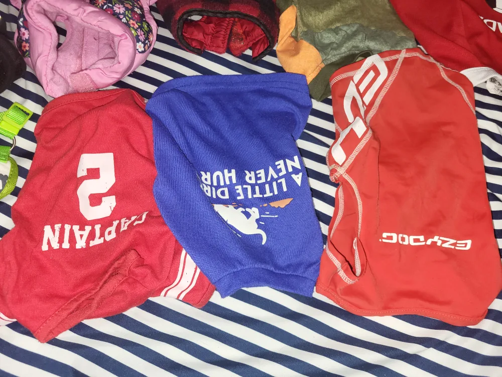 Small Dog Harnesses & Apparel (Clothings) image indicator(3)