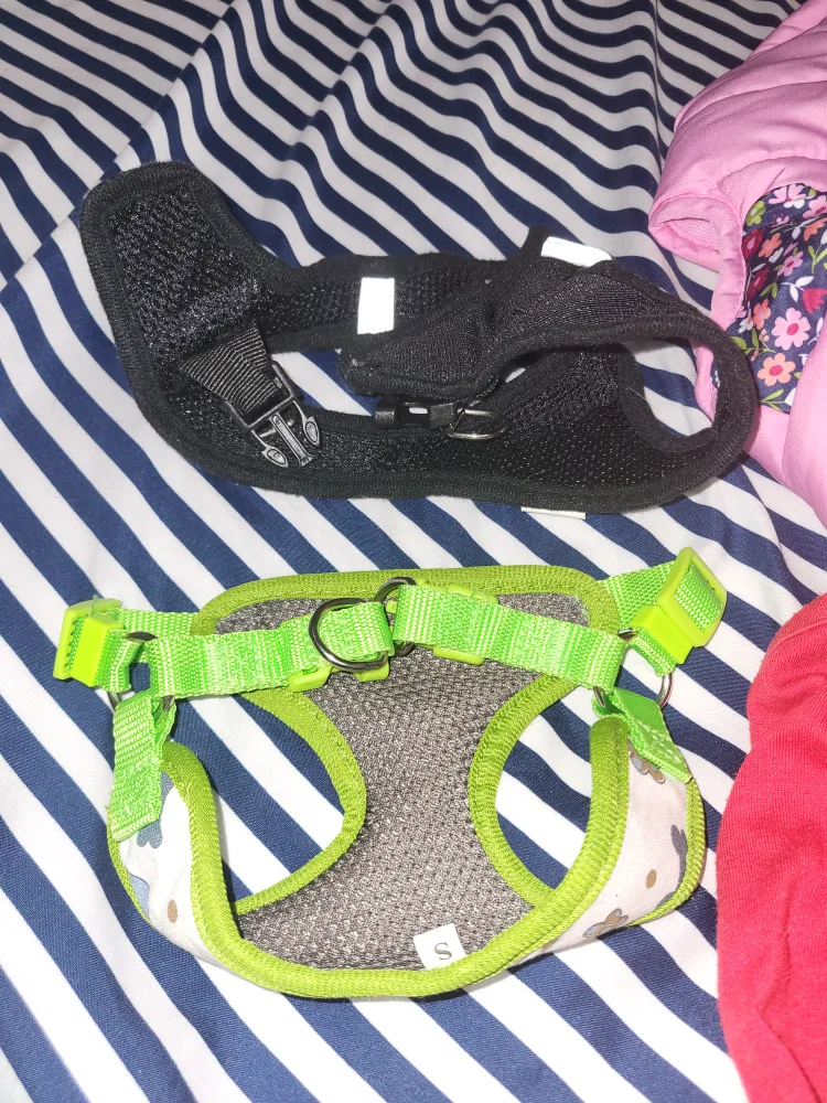 Small Dog Harnesses & Apparel (Clothings) image indicator(4)