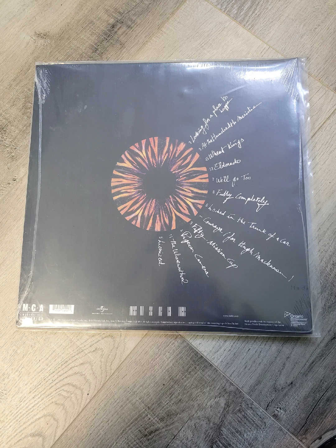 The Tragically Hip - Fully Completely Vinyl Record image indicator(2)