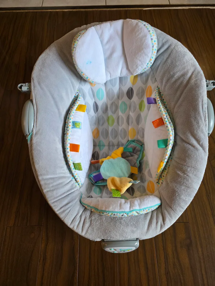 Taggies Baby Bouncer - Grey image indicator(3)