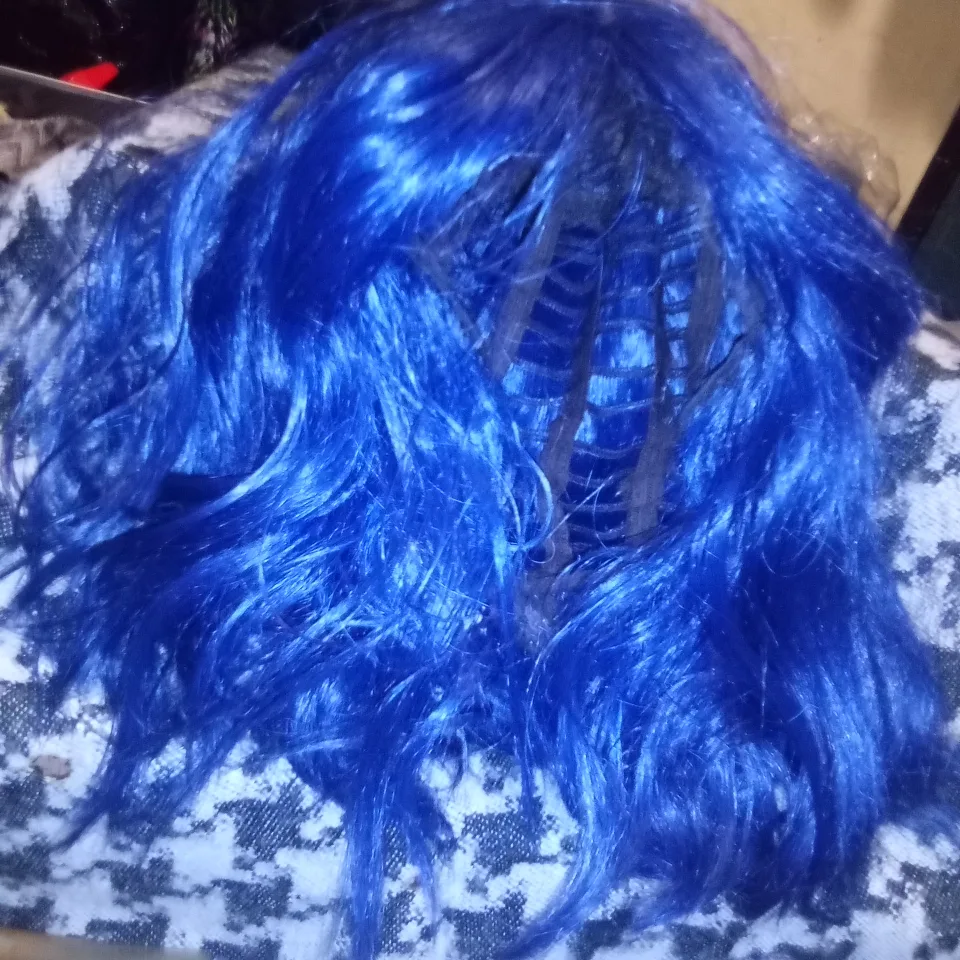 Blue Wig image indicator(3)