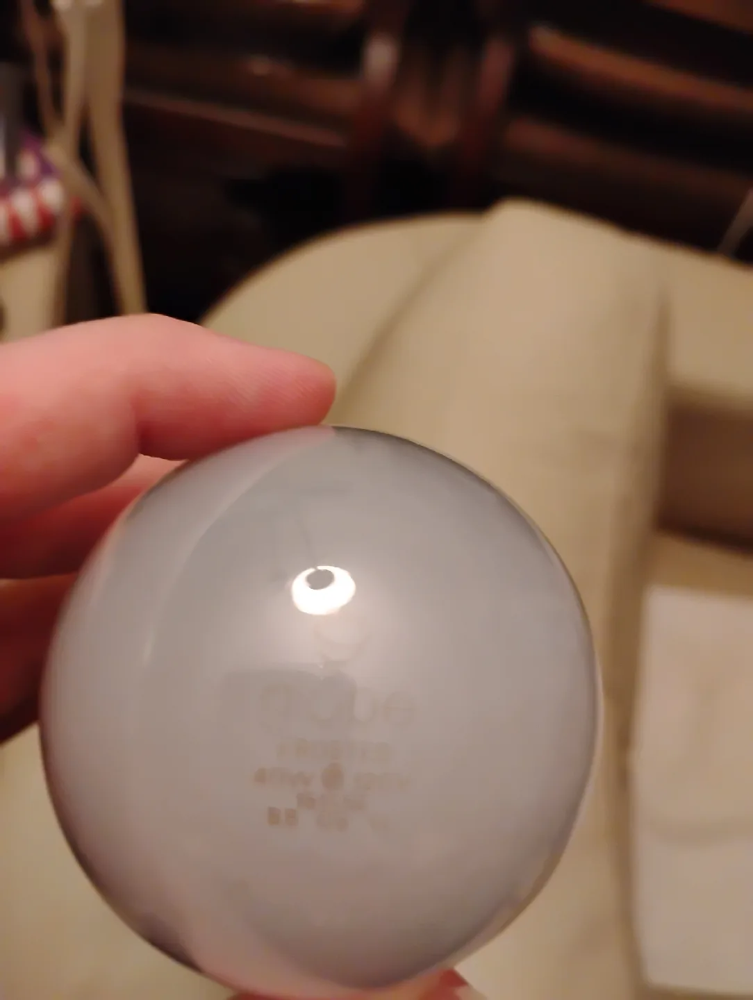 FROSTED INCANDESCENT 40W LIGHT BULB