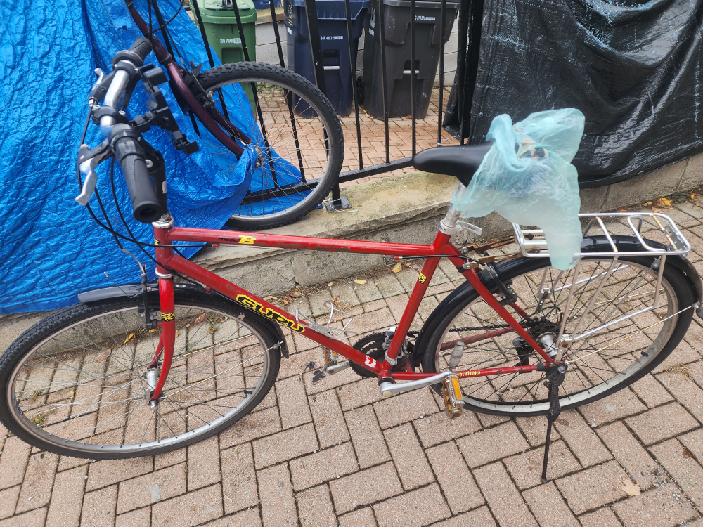MOVE OUT SALE - Red bike