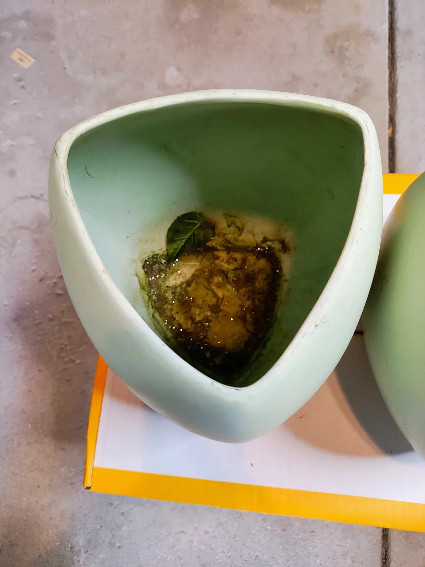 Pair of Green Ceramic Vases image indicator(2)