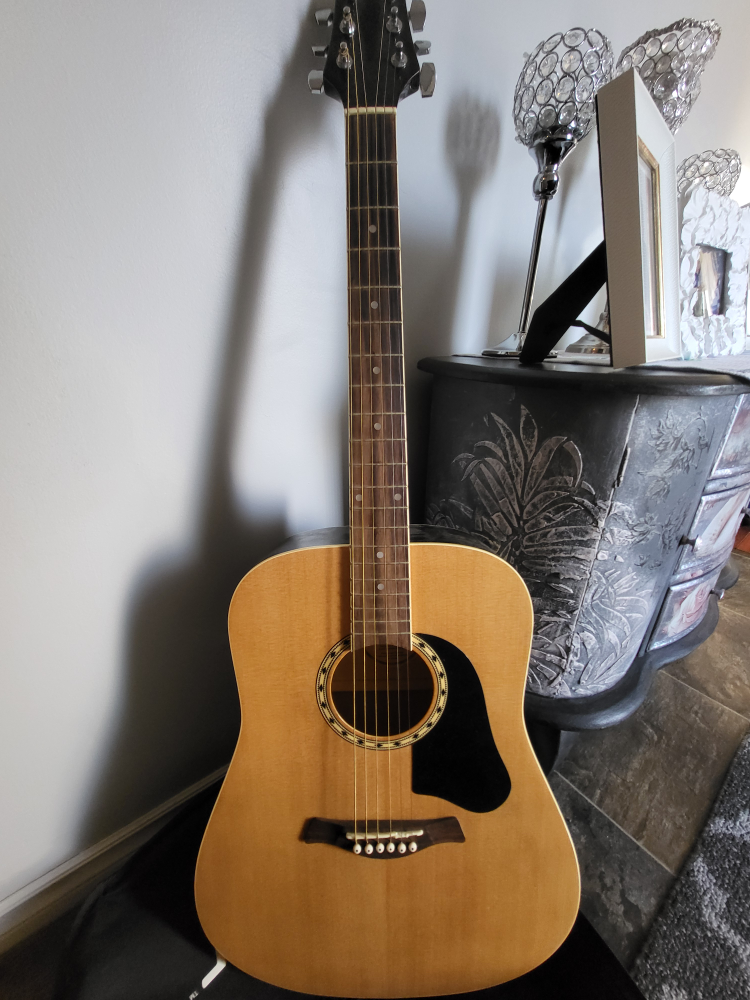 Rocker RA-100 Acoustic Guitar🥕