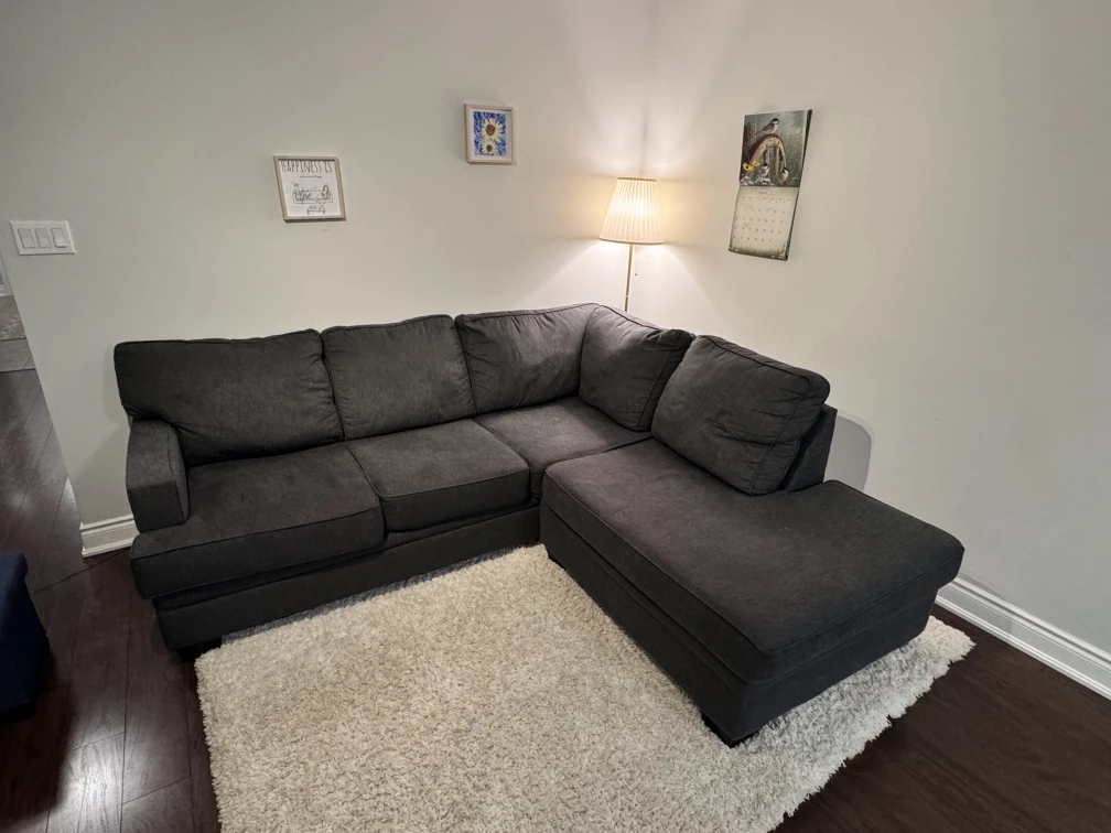 Cozy Grey Two Piece  Sectional Sofa - photo 2