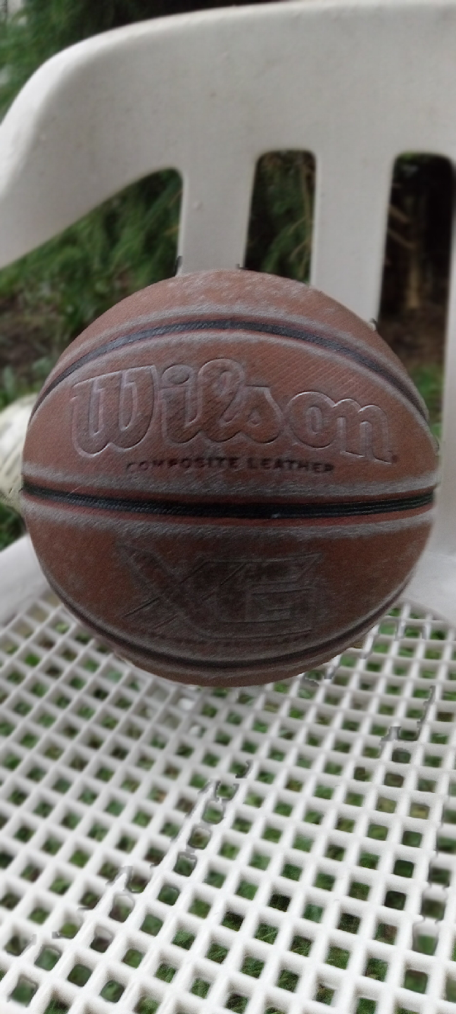 Wilson Composite Leather XG Basketball