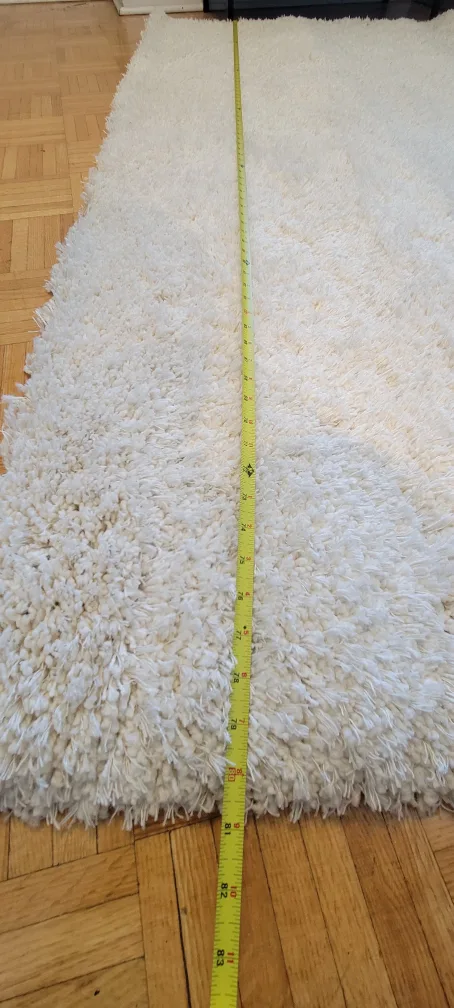 #FreeCycle: Off-White Shag Rug image indicator(2)
