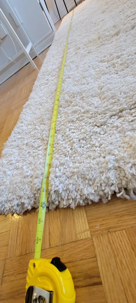 #FreeCycle: Off-White Shag Rug image indicator(3)