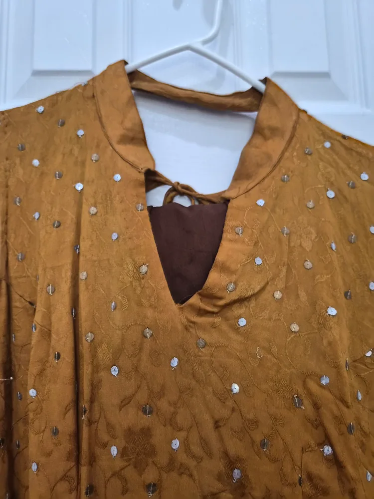 Gold Dress with Sequins and Embroidery image indicator(3)