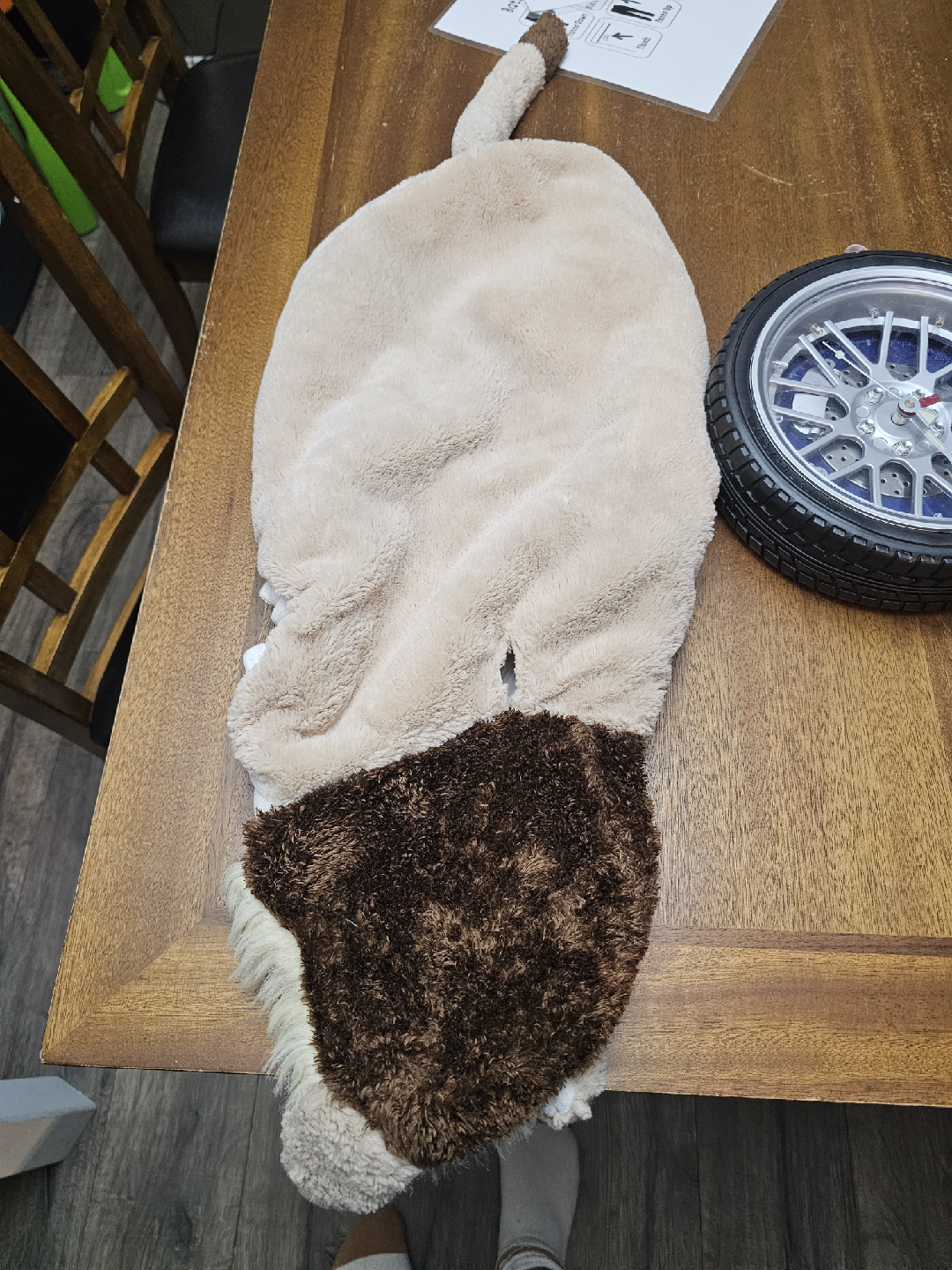Large Dog Lion Costume