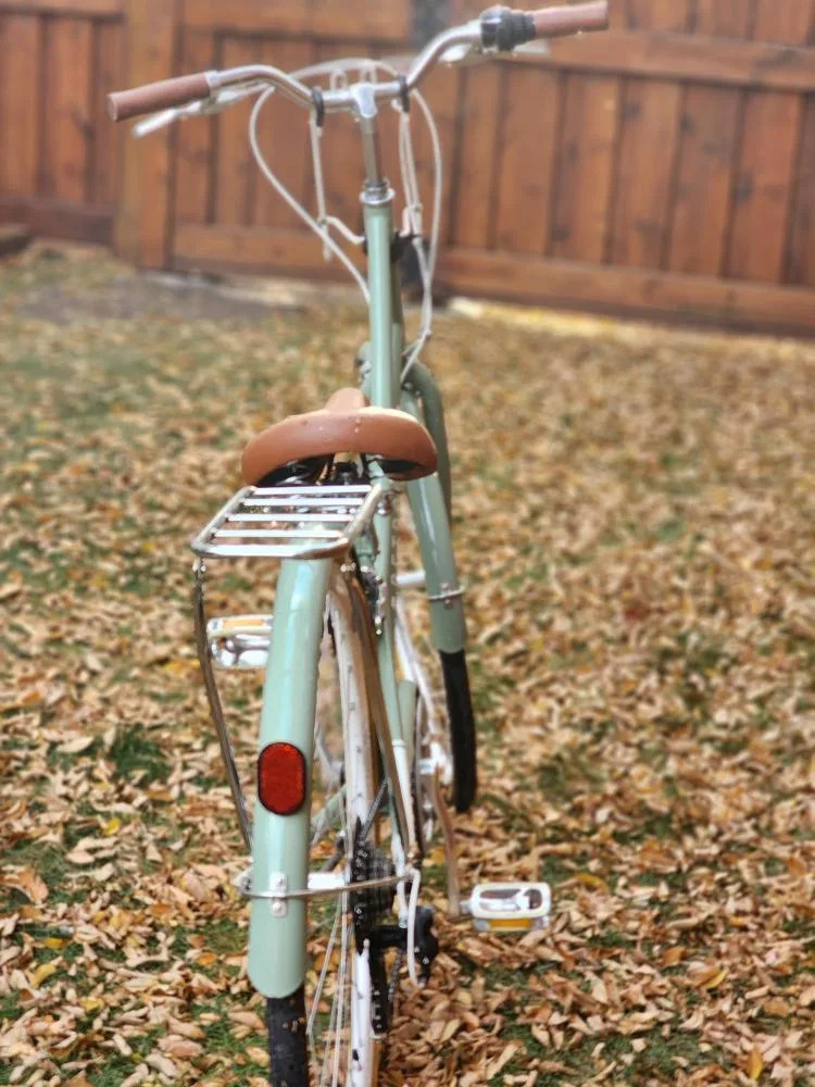 Woman's Bike - Mint Green image indicator(2)
