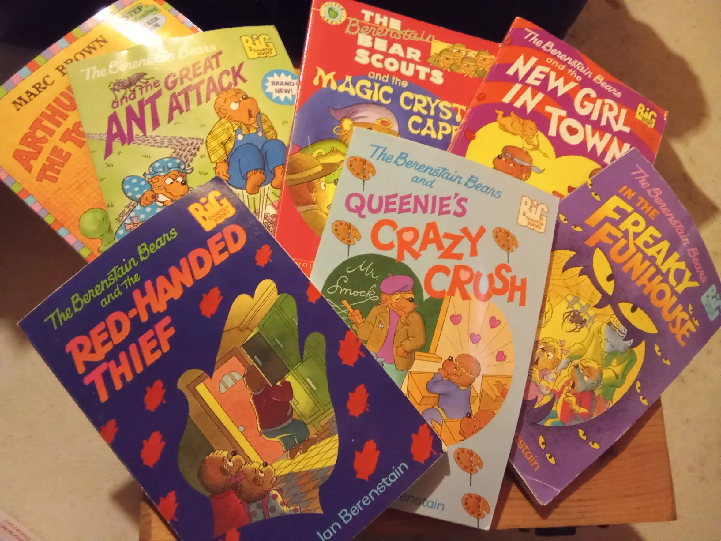 Berenstain Bears Kids Books Lot thumbnail