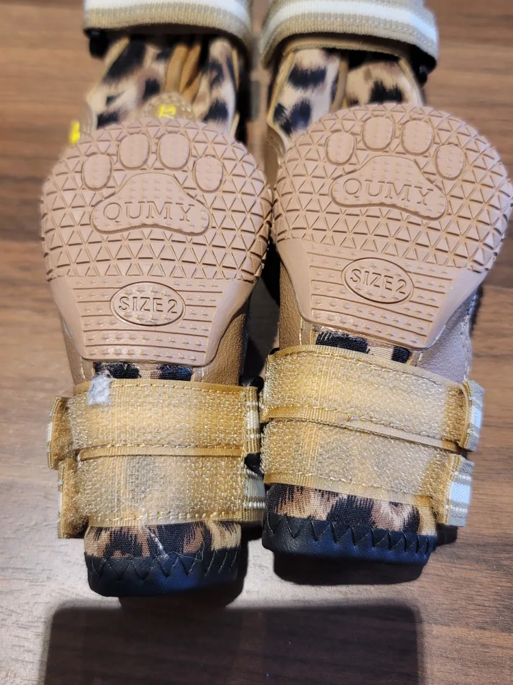 🥕 Blue Dog Boots image indicator(10)