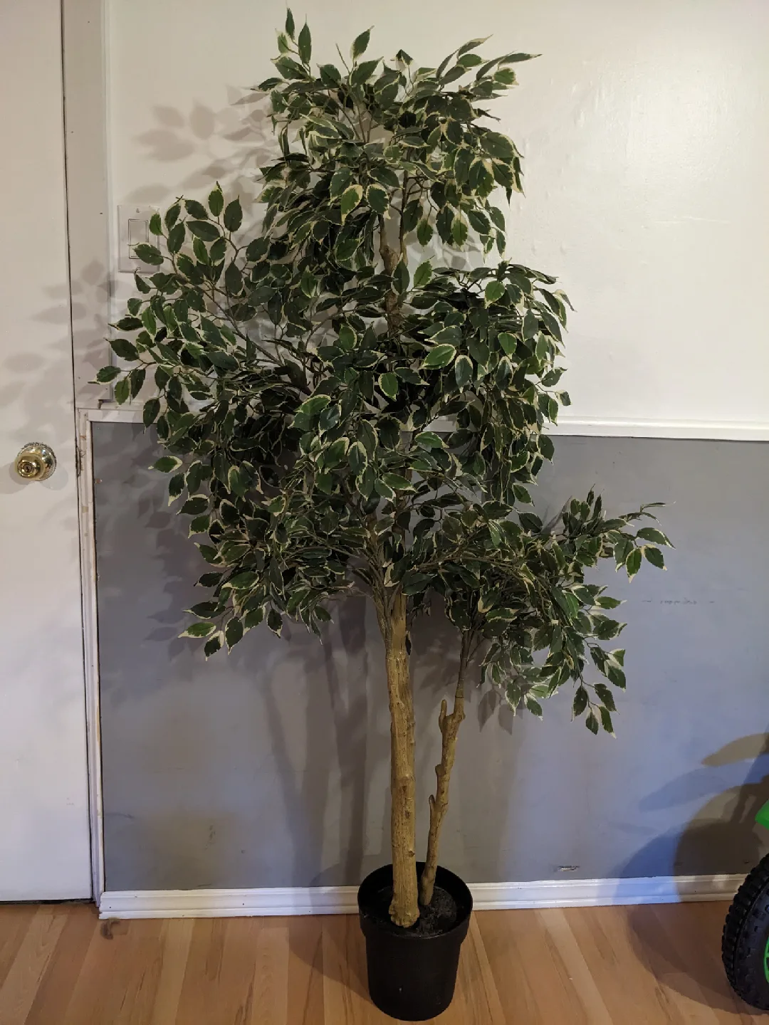 Faux Ficus Tree in Black Pot thumbnail