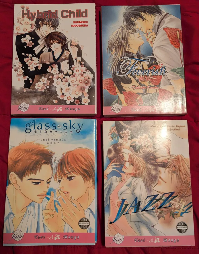 Manga Lot - Mature 18+ image indicator(3)