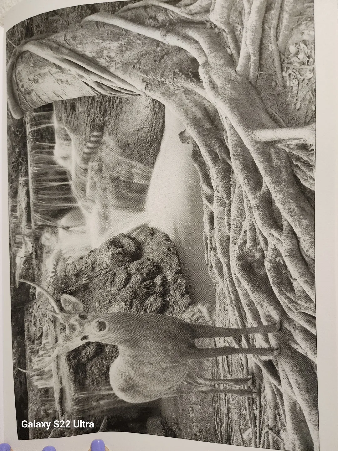 On The Water Adult Coloring Book image indicator(5)