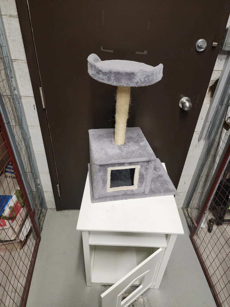 Cat Tree and White Side Table - photo 2