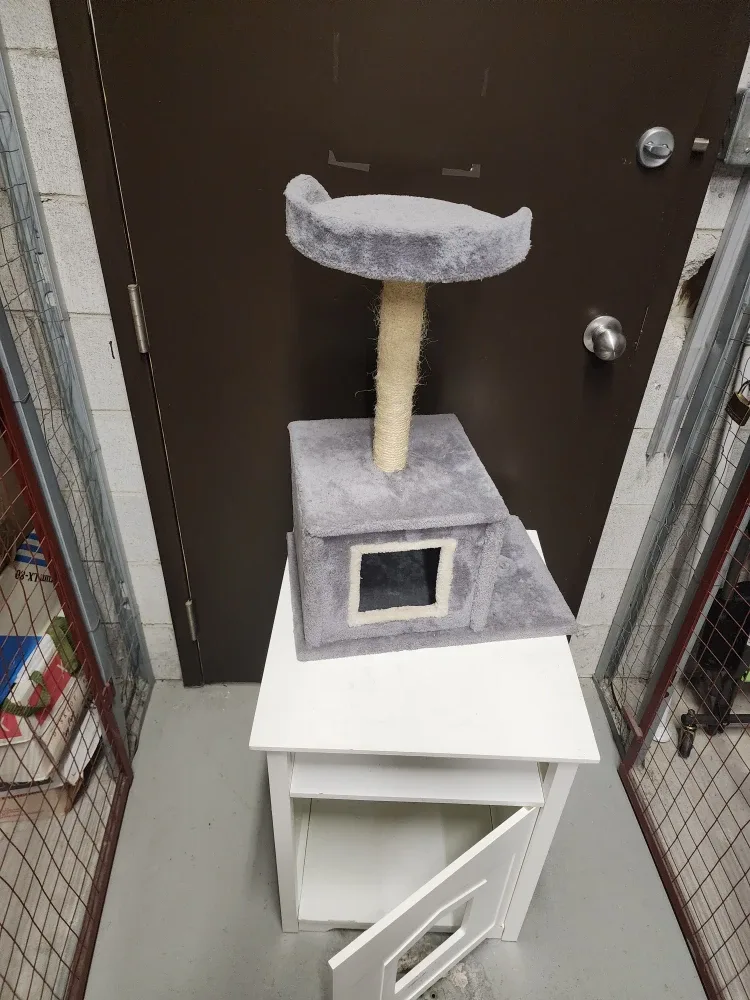 Cat Tree and White Side Table image indicator(2)