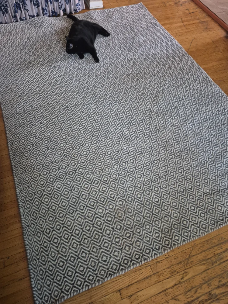 Area Rug thumbnail