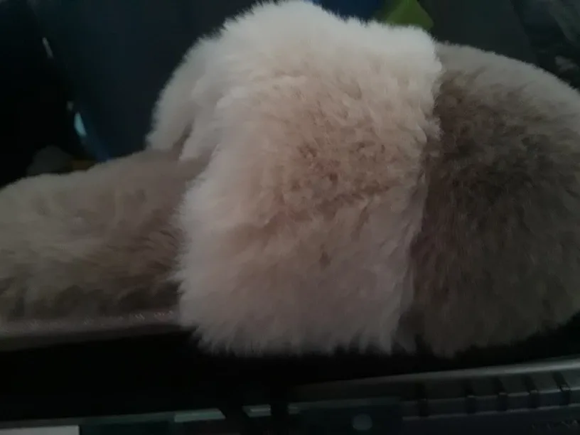 totes size medium 7 -8 image indicator(4)