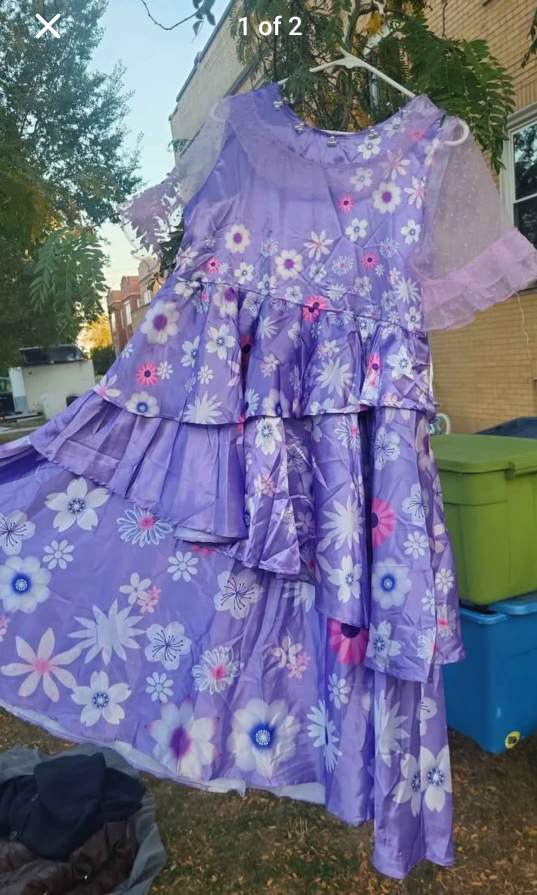 Girl Purple Floral Dress - Encanto Costume