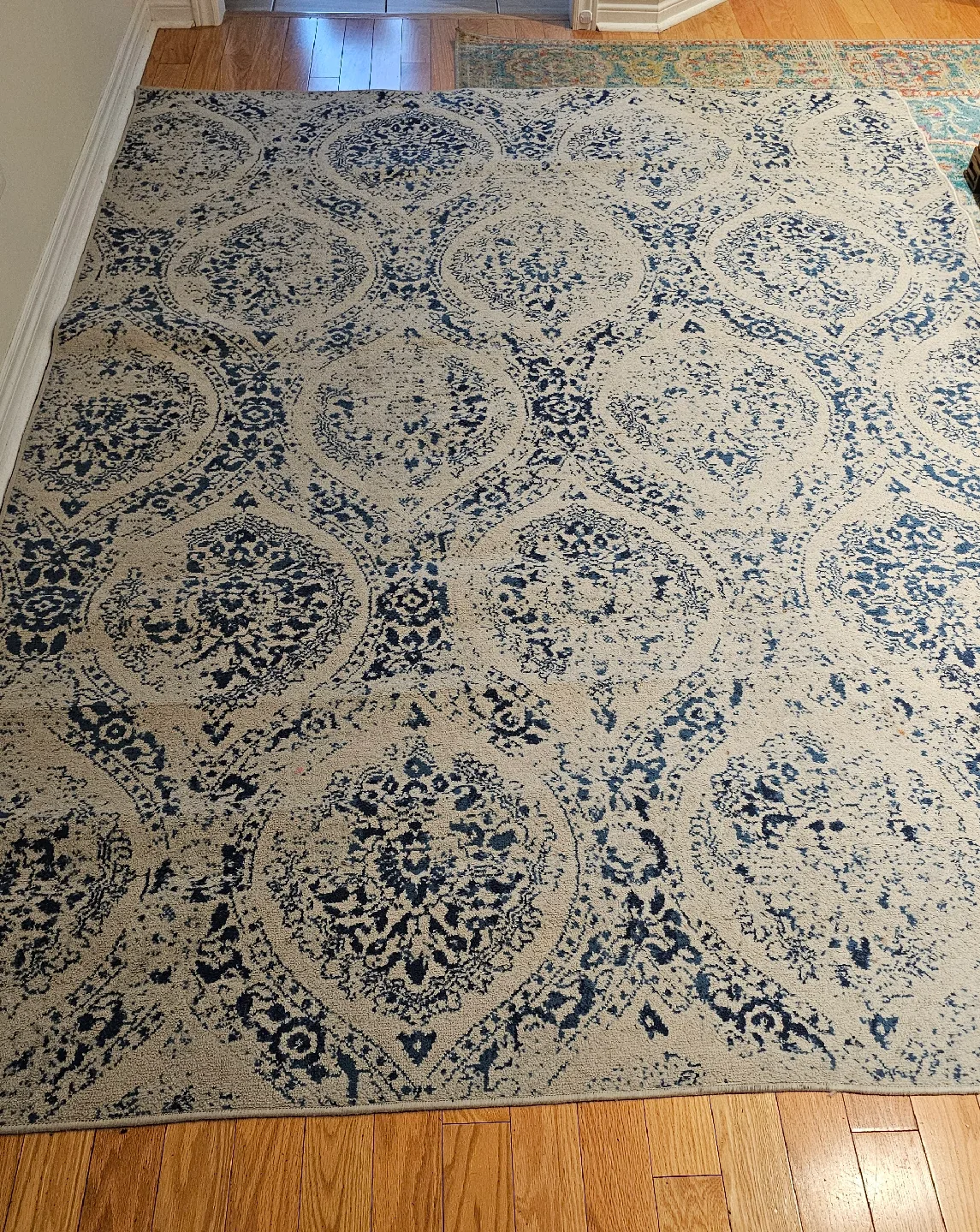 Patterned Area Rug image indicator(3)