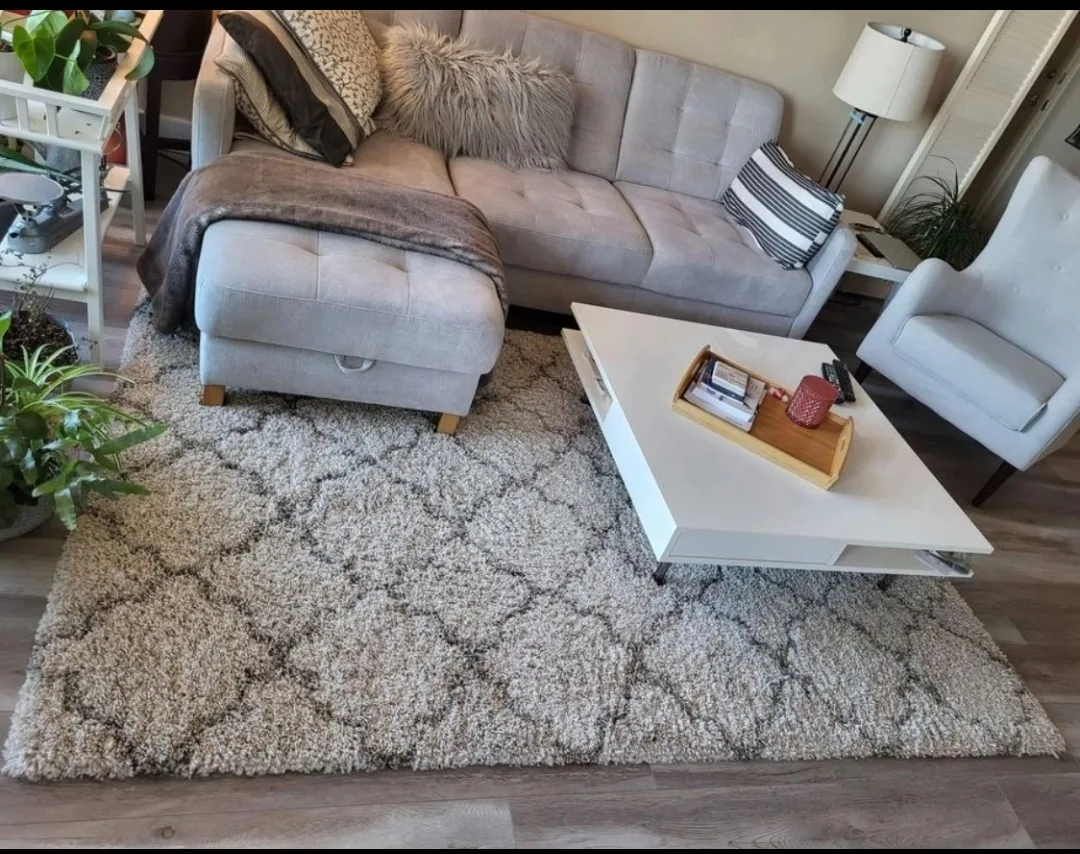 Area Rug 5'1" x 7'6"