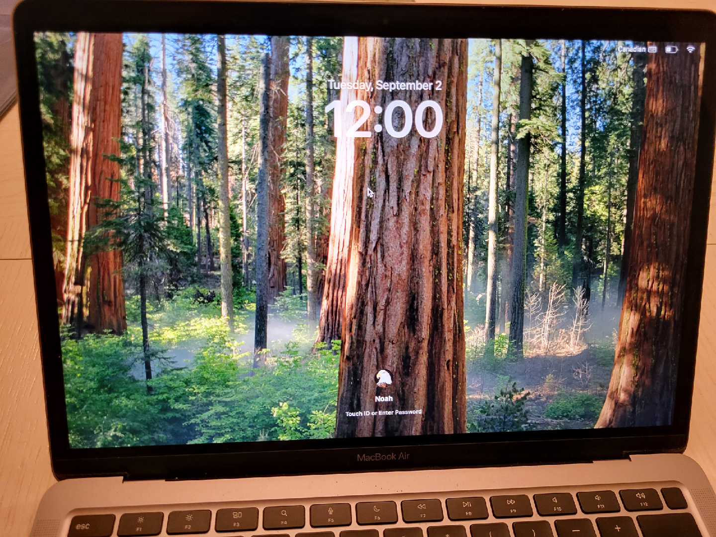 MacBook Air M1 (2020) – Excellent Condition | Low Cycle Count