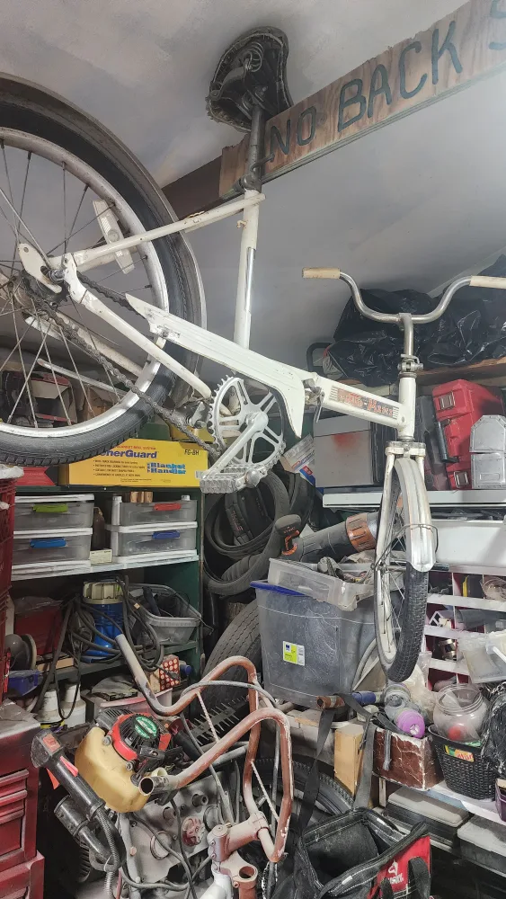 Retro Maxi Bike - Vintage Find! image indicator(2)