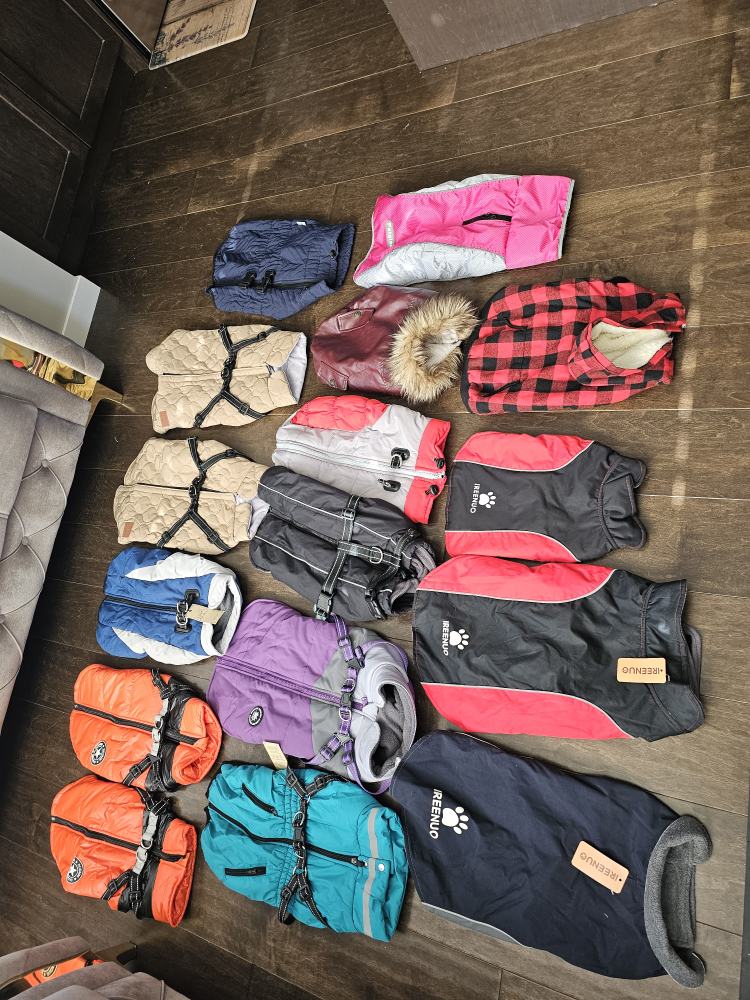 (New)winter jacket for dog, price between $25 to $35 each