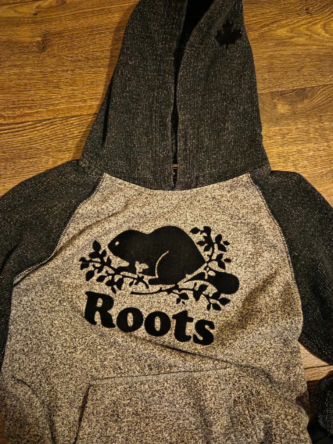 Roots Kids Hoodie - XL (11-12 Yrs) image indicator(3)